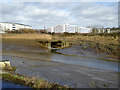 Outfall into River Colne