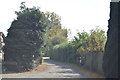 Track, Buckman Green Farm