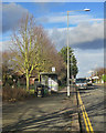 Coleridge Road: winter sunlight