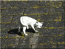 SO7535 : Cat on a slate roof by Philip Halling