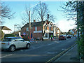 Tree surgery on Laleham Road