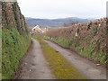 Lane to Sychdyn Farm