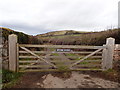 Gate and track to Mynydd Bychan