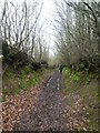 SS9039 : Path (former lane) north of Combeshead by David Smith