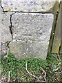 OS Cut Mark - Wigtown, Wall, NW Side, Southfield Lane