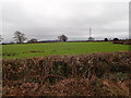 Farmland, Pen-y-Cefn