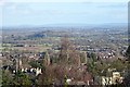 View from the Foley Arms Hotel