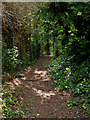 Public footpath in Copthorne near Audlem, Cheshire