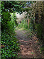 Public footpath in Copthorne near Audlem, Cheshire