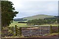 Farmland and shelter belts, Strathbogie