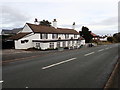 The Druid Inn, Gorsedd