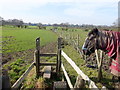 Footpath between Lady Lane and Lord Street, Croft