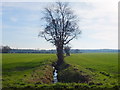 Drainage Ditch South of New Lane, Croft