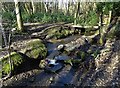 Stream running through Carterhall Woods