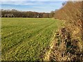 Playing field at Wernos