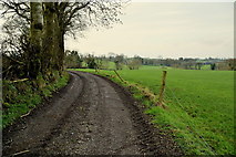 H4369 : Muddy lane, Loughmuck (Alcorn) by Kenneth  Allen