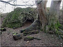 SE9790 : Lime kiln in Greengate Wood near Hackness by Christopher Hall