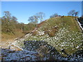 SP9908 : Snow-dusted motte at Berkhamsted Castle by Peter S