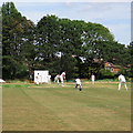 League cricket at Fitz