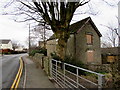 ST1396 : Boarded-up house behind a tree, Penybryn by Jaggery
