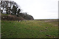 SD4327 : Lancashire Coastal Way by Ian S