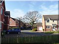 Mature trees on Towneley, Warndon Villages