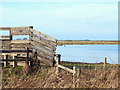 SD3402 : Wetlands off Moor Lane, Lunt by Gary Rogers