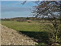 View to Flatmeadow Farm from Bell Lane