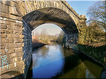 SD7910 : River Irwell, Daisyfield Viaduct by David Dixon