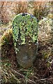 Old Milestone by the B7009, west of Gilmanscleuch, Kirkhope parish