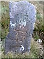 SD6960 : Old Boundary Marker on Catlow Hill by Milestone Society