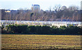 Glasshouses at West Town Farm