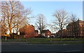 New housing estate on Layer Road, Colchester