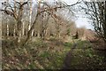 Footpath along disused railway line at Strathmiglo