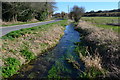 River Crane east of Cranborne