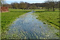 River Crane at Manor Farm