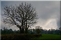 Mid Devon : Grassy Field