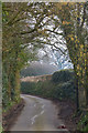 Mid Devon : Country Lane