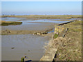 TQ7176 : Old wharves on Cliffe Creek by Robin Webster