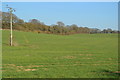 Gently sloping field south of Burcot Farm