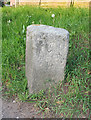 Old Boundary Marker by the A376, Exmouth Road, Woodbury parish