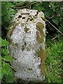 Old Milestone near Allanton, Dunscore parish