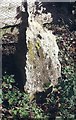 Old Milestone by Bungay Road, Paddock Cottages, Scole parish