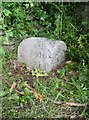 Old Boundary Marker by the A3022, New Road, Brixham parish