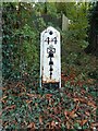 Old Milepost by Lewes Road, Ridgewood, Uckfield parish