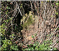 Old Milestone by Park Lane, Odcombe parish