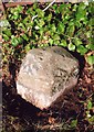 Old Milestone near Lochlane Smiddy, Monzievaird & Strowan parish