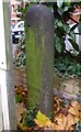 Old Boundary Marker by the B229, Nightingale Lane, Battersea parish