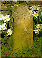 Old Milestone by Mill Lane, Redmire