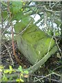 Old Boundary Marker by Clough Lane, Kirkburton parish